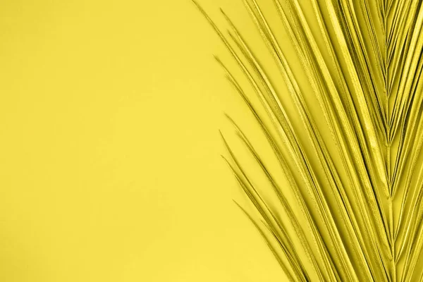 Nahaufnahme von goldenen Monstera-Palmblättern auf gelbem Hintergrund — Stockfoto
