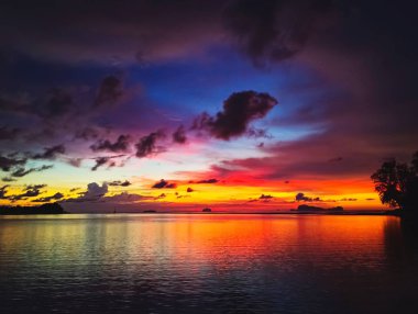 Güzel güneş plaj siluet doğa deniz manzarası arka ayarla