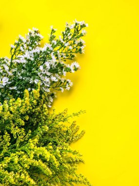 Sarı bir doğa arka planlar üzerinde çiçek güzel çiçekler