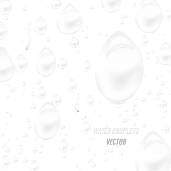 Water Droplets White Scene Vector Abstract Wallpaper Backgrounds — Stock Vector