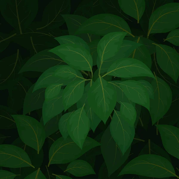 在黑暗场景 矢量自然和森林背景中关闭绿叶 — 图库矢量图片