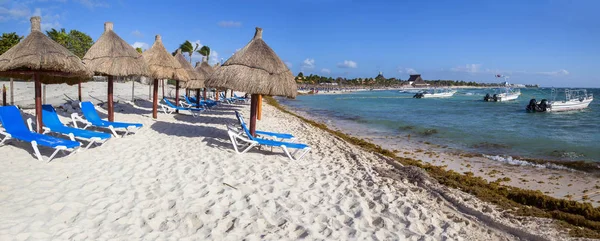 Verano Unas Vacaciones Playa Hermosa Con Palmeras Isla Exótica Panorama — Foto de Stock
