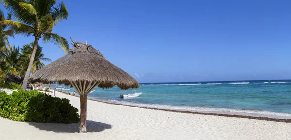 一个假日 海滩美丽与棕榈树在异国情调的海岛 — 图库照片