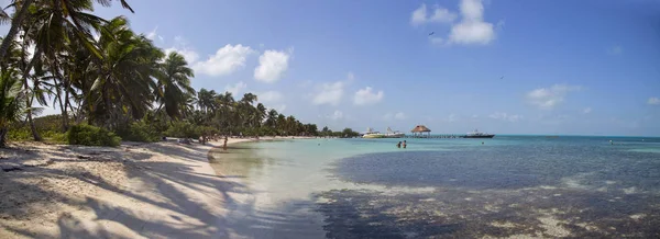 Summer, a holiday, the beach beautiful with palm trees on the exotic island. Panorama.