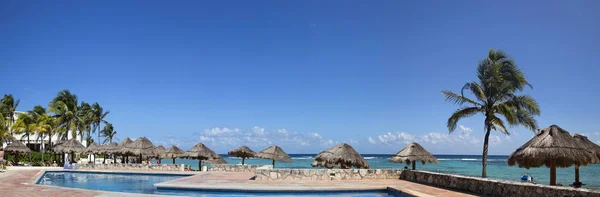 Summer Holiday Beach Beautiful Palm Trees Exotic Island Panorama — Stock Photo, Image