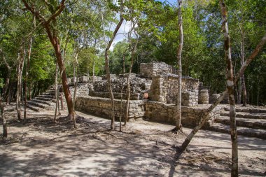 Antik şehir, Koba Yucatan tropikal ormanda. Yatay olarak.