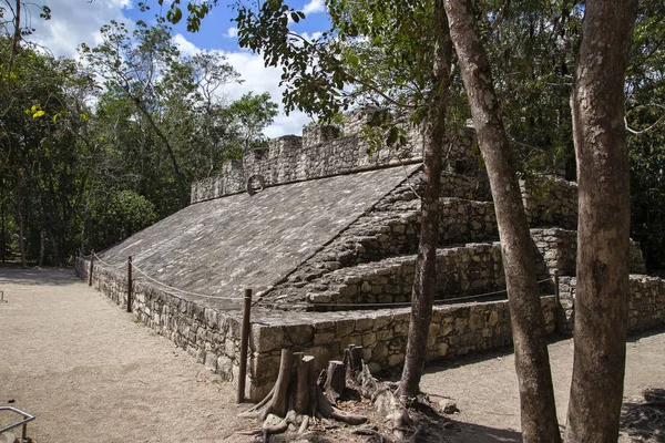 Antica Città Koba Nella Giungla Tropicale Dello Yucatan Orizzontalmente — Foto Stock