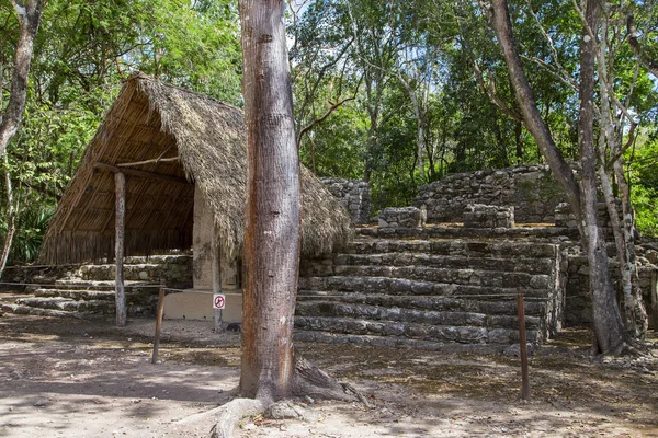 Den Antika Staden Koba Tropisk Djungel Yucatan Horisontellt — Stockfoto