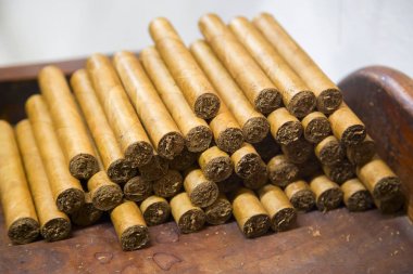  Dominik puroları basında.