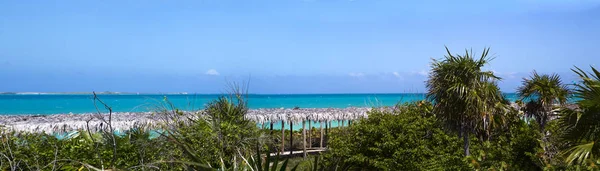 Vista Attraverso Vegetazione Sul Mare Azzurro Orizzontale Panorama — Foto Stock