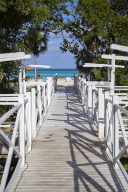 Kuba'da bitki örtüsünden denize ahşap döşeme. Yatay.