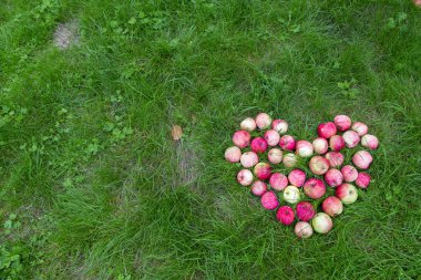 Elmalar kalp şeklinde çimenlerin üzerinde uzanır. Yatay.