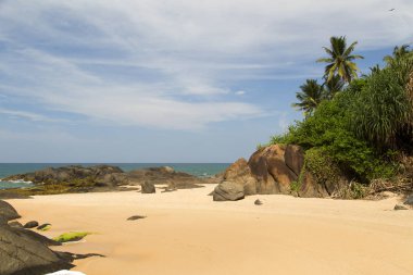 Sri Lanka tropikal adada palmiye ağaçları ve kayalar ile güzel plaj. Yatay. Dikey.
