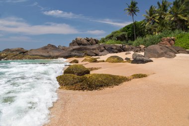 Sri Lanka tropikal adada palmiye ağaçları ve kayalar ile güzel plaj. Yatay. Dikey.