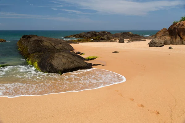스리랑카의 야자수와 바위와 아름다운 — 스톡 사진