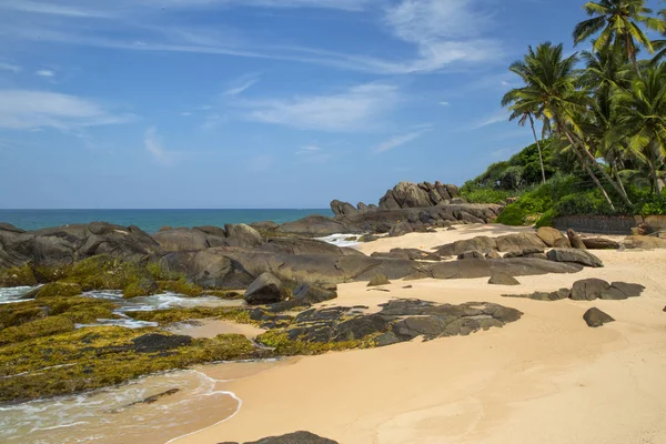 Hermosa Playa Con Palmeras Rocas Isla Tropical Sri Lanka Horizontal —  Fotos de Stock