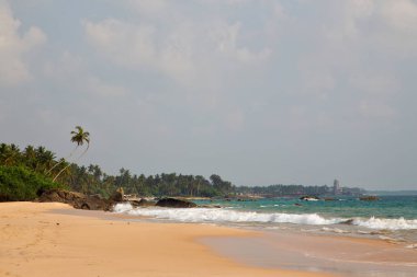 Sri Lanka tropikal adada palmiye ağaçları ve kayalar ile güzel plaj. Yatay. Dikey.