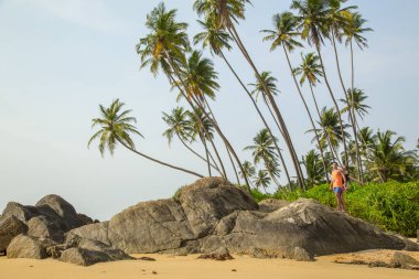 Sri Lanka tropikal adada palmiye ağaçları ve kayalar ile güzel plaj. Yatay. Dikey.