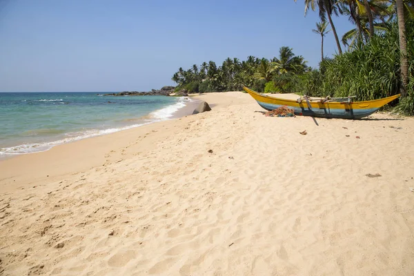 斯里兰卡热带岛屿上美丽的海滩 有棕榈树和巨石 — 图库照片