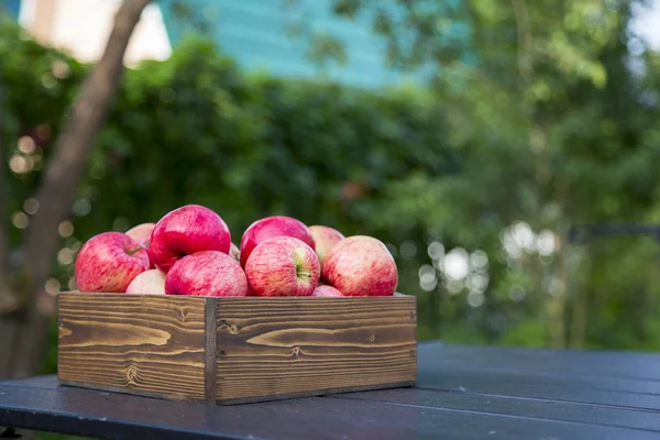 Äpfel Liegen Einem Holzgefäß Auf Dem Tisch — Stockfoto