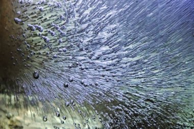 Buzlu su, Aile planlaması, reklam için uygun donup kalan ev