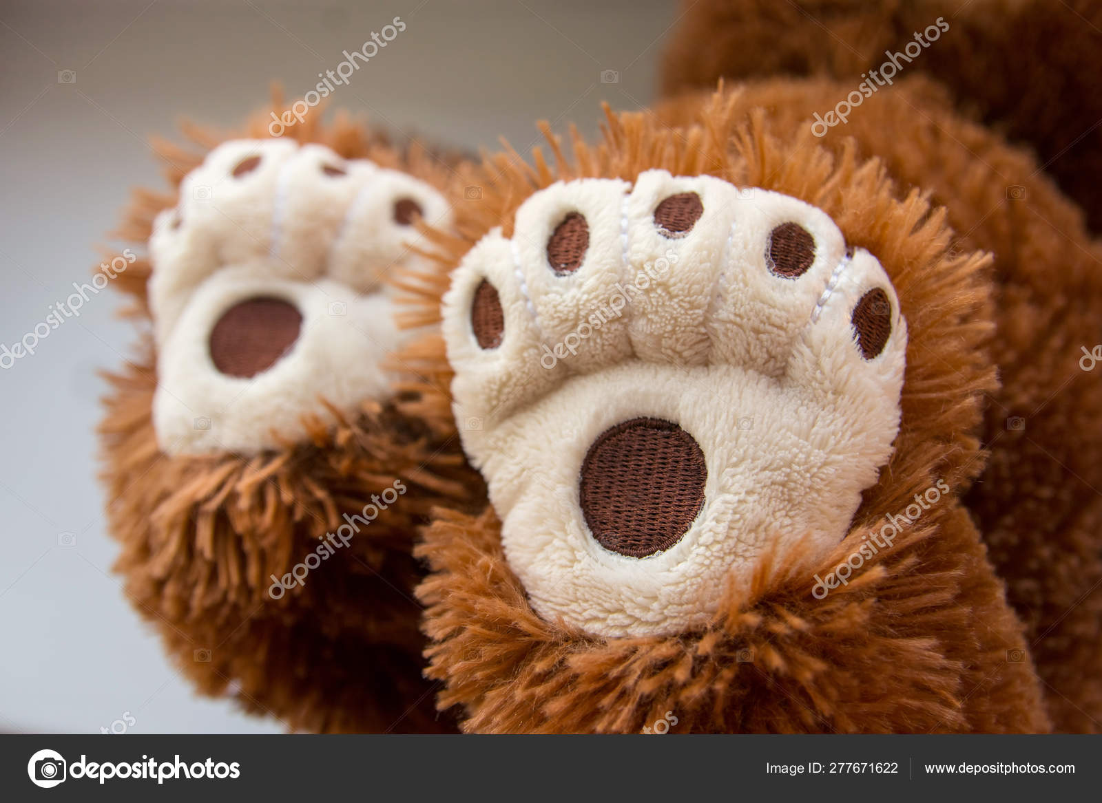 paws teddy bear