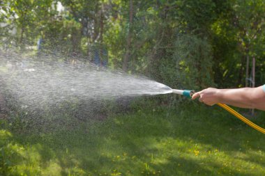 Bahçe sulama. Bir kadının elinde bir hosepipe.