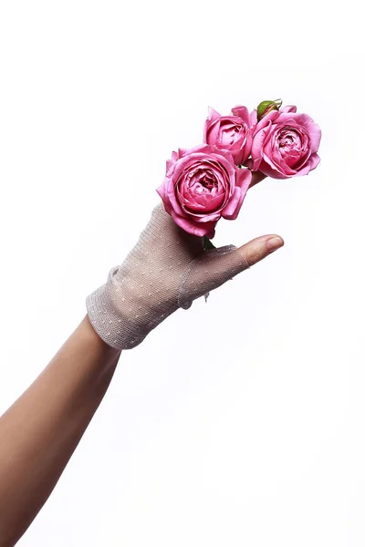 Hermosa Mano Mujer Guante Elegante Sosteniendo Una Flor Sobre Fondo — Foto de Stock