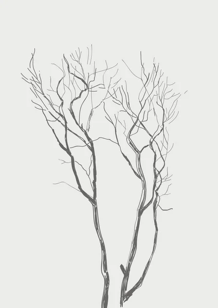 Vieil Arbre Illustration Croquis Impression Design — Image vectorielle