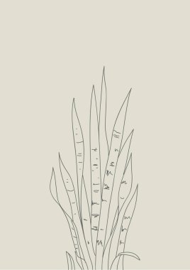 Sansevieria grafik baskı. İskandinav tarzı içinde posteri