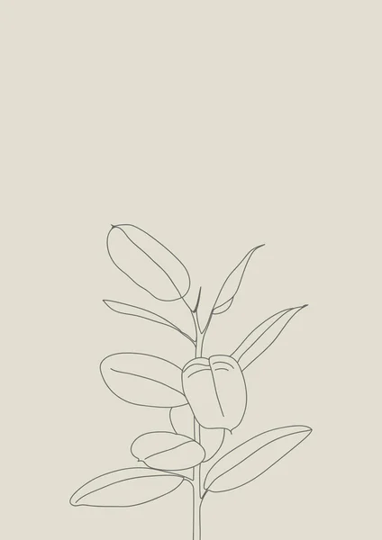 Grafik yazdırma Ficus ağacının. İskandinav tarzı içinde posteri