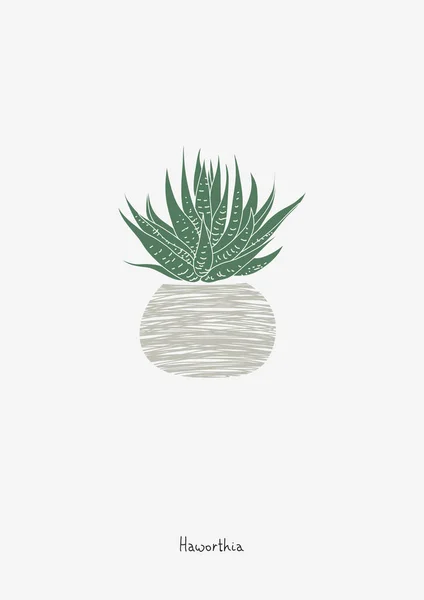 Haworthia grafik baskı. İskandinav tarzı içinde posteri