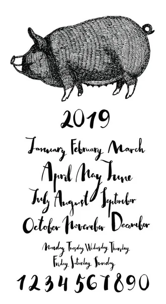 Piggy maanden van het jaar 2019 dagen van de week-getallen — Stockvector
