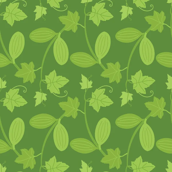 Ecballium Decorative floral illustration Seamless pattern — Stock Vector