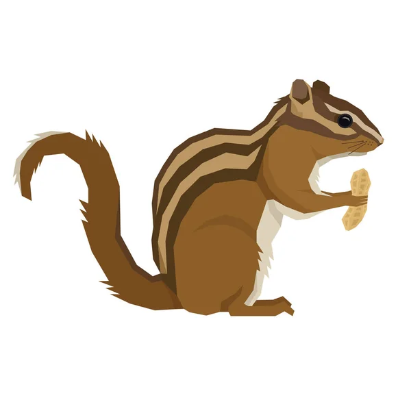 Floresta Vida selvagem Vetor animais Estilo geométrico Esquilos com amendoim — Vetor de Stock
