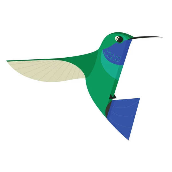 Humming bird pictogram geometrische cartoon platte Vector Illustratie geïsoleerde-object — Stockvector
