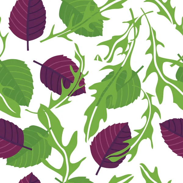 Hierbas de cocina Arugula con albahaca verde y púrpura Patrón sin costuras — Vector de stock