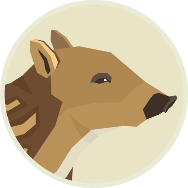 Vahşi hayvanlar koleksiyonu yaban domuzu bebek yuvarlak çerçeve geometrik tarzı yalıtılmış nesne