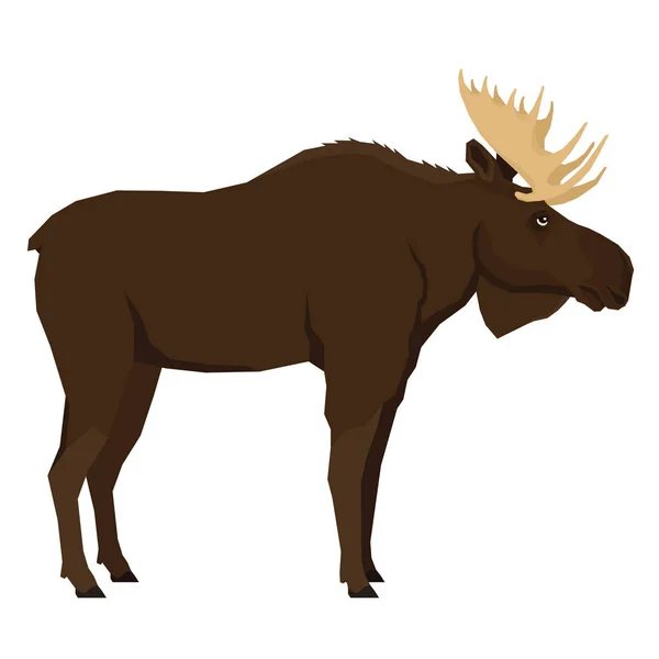 Brown Moose Forest Wild Life Oggetto isolato Animali vettoriali Stile geometrico — Vettoriale Stock