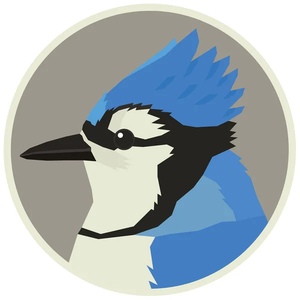 Oiseau Jay bleu Faune Animaux vecteurs Cadre rond — Image vectorielle