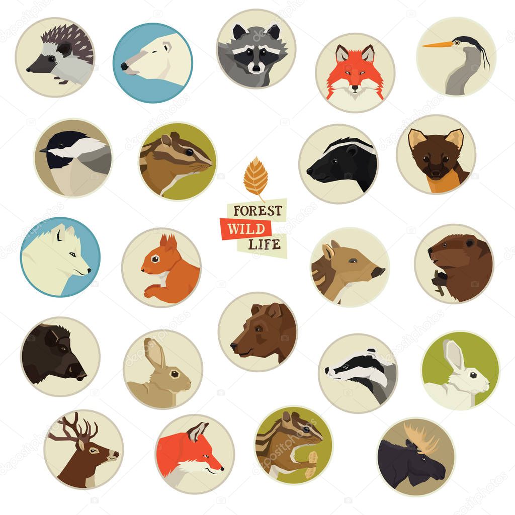 Forest Wildlife Animals Round frames set