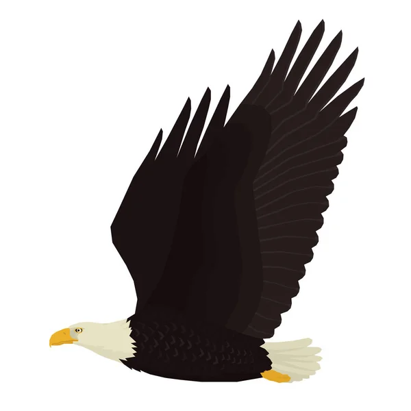 Eagle Vector ilustração de pássaro Objeto isolado —  Vetores de Stock