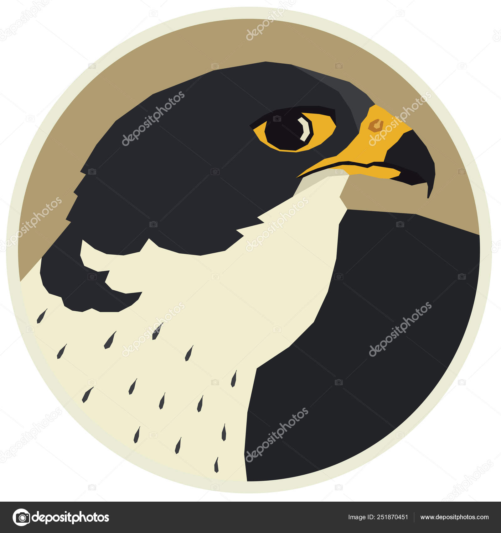 Collezione Uccelli Illustrazione Vettoriale Di Un Falco