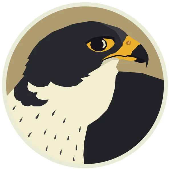 Colección de aves Ilustración vectorial de un halcón peregrino en marco redondo — Vector de stock