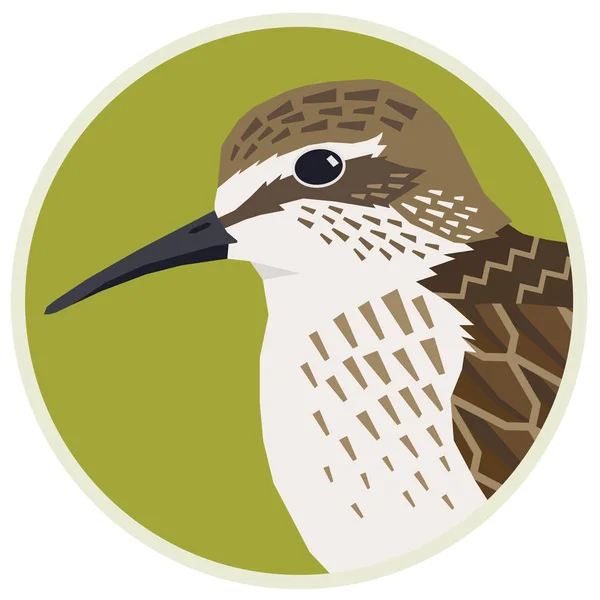 Birds collection Sandpiper Vector illustration of a bird in a round frame — Stock Vector