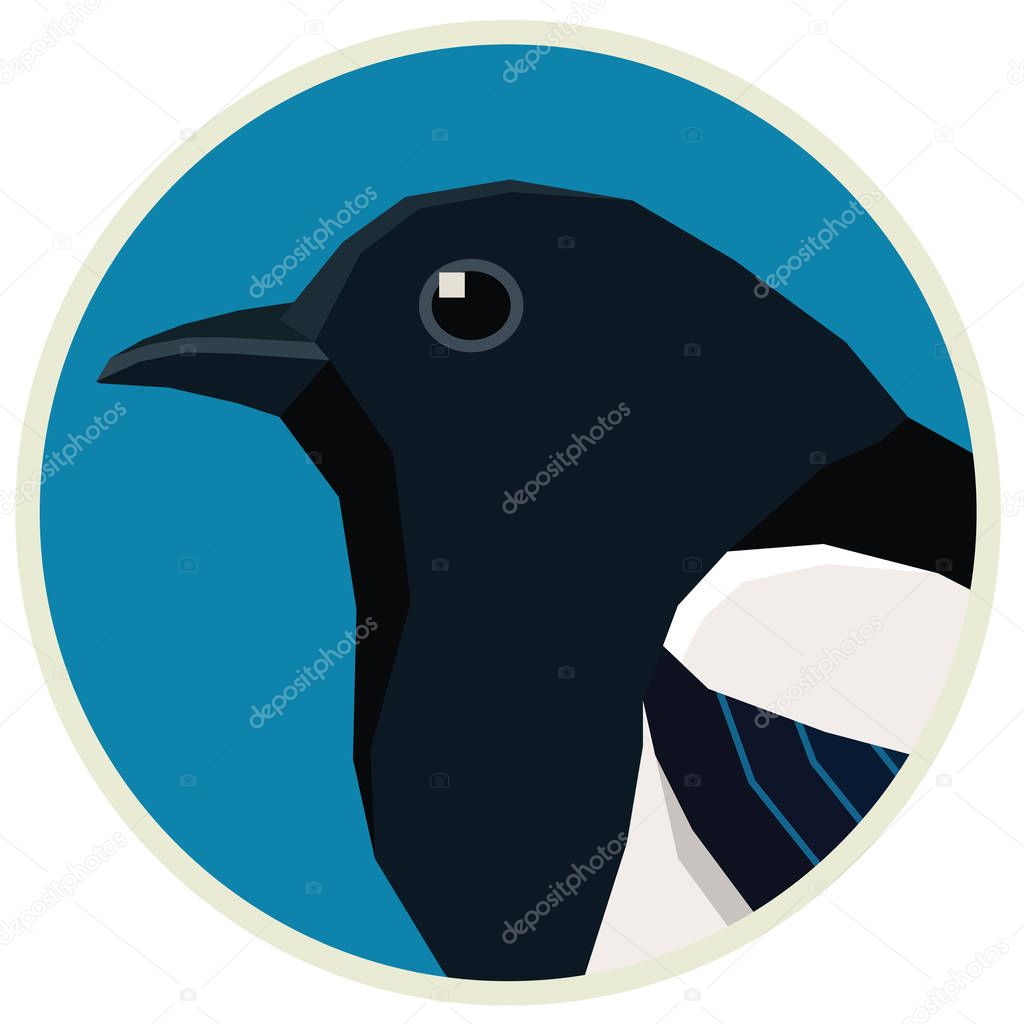 Magpie Vector illustration of a bird in a round frame set