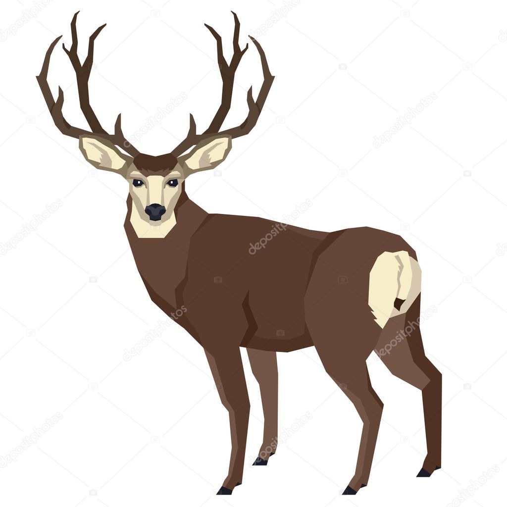 Wild animals Vector illustration of a mule deer Isolated object Geometric style set