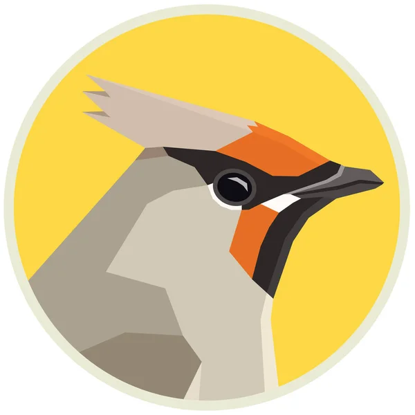 Bohemian Waxwing ptaki kolekcja wektor ilustracja okrągła ramka — Wektor stockowy