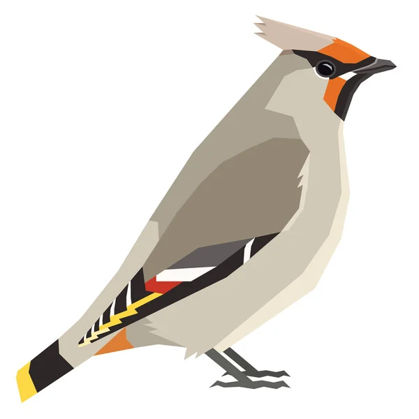 Bohemian Waxwing ptaki kolekcja wektor ilustracja na białym tle obiekt — Wektor stockowy