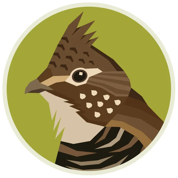 Ruffed Grouse vogels collectie vector illustratie ronde frame — Stockvector